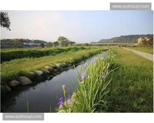 湿度变化对环境生态与人体健康的综合影响研究